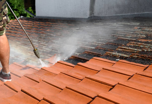 Best Commercial Pressure Washing  in Viroqua, WI
