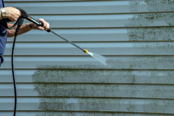 Best House Pressure Washing  in Viroqua, WI