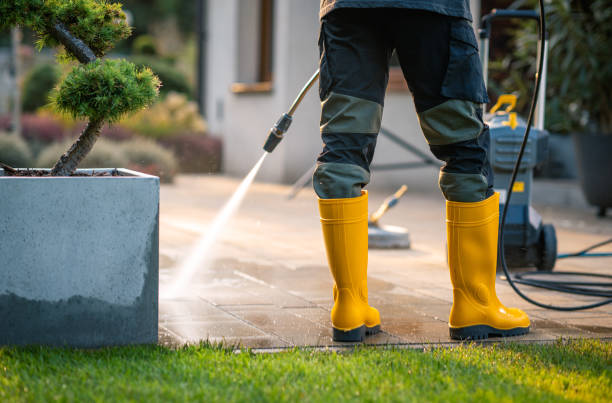 Best Roof Power Washing Services  in Viroqua, WI